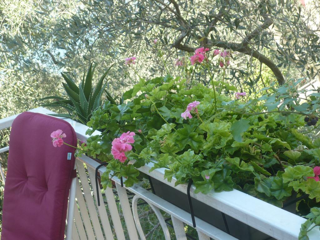 Appartamento Michela Brenzone sul Garda Rum bild